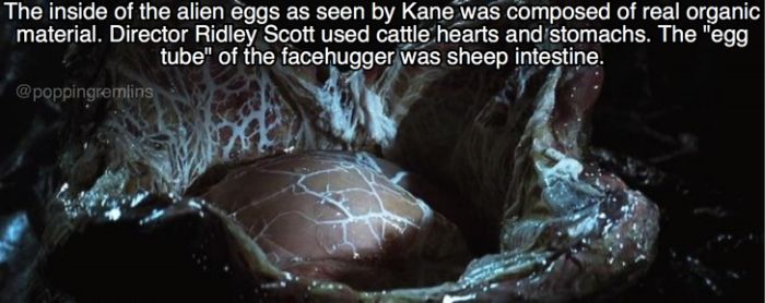 Out Of This World Facts About The Movie Alien (26 pics)