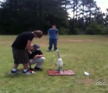 Hopefully People Never Learn How Not To Fail (27 gifs)