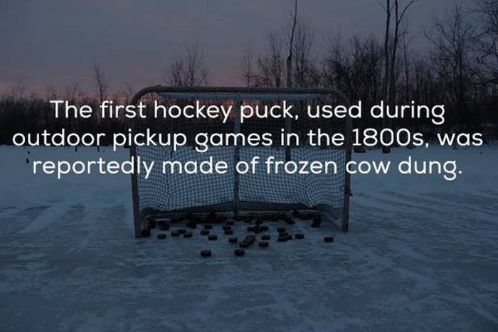 Hockey Facts That You Need In Your Life Right Now (24 pics)