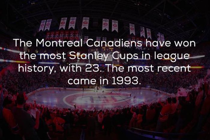Hockey Facts That You Need In Your Life Right Now (24 pics)