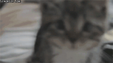 Acid Gifdump, April 27, 2017 (25 gifs)