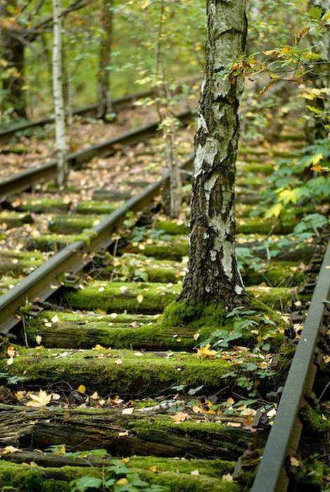 Chilling Photos From Abandoned Places Around The World (40 pics)