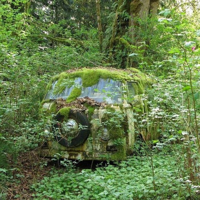 Chilling Photos From Abandoned Places Around The World 40 Pics