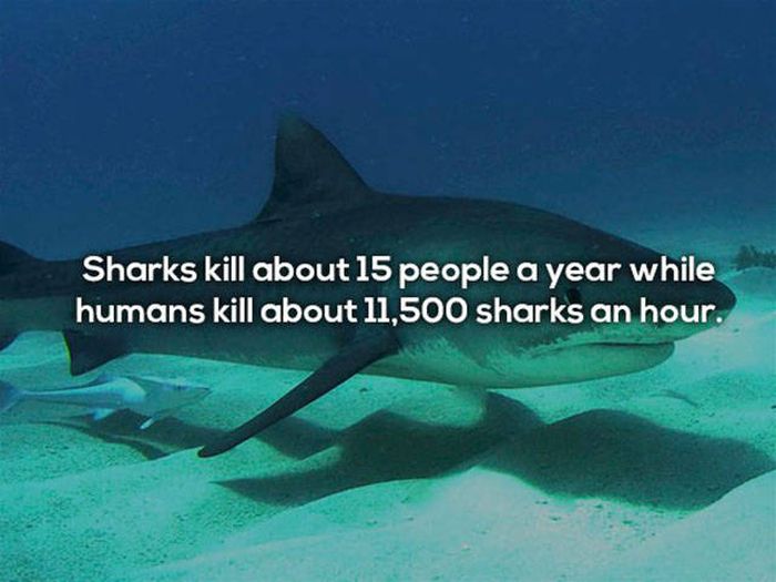 These Facts Prove That Death Is Always Close (25 pics)