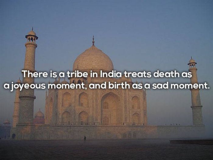 These Facts Prove That Death Is Always Close (25 pics)