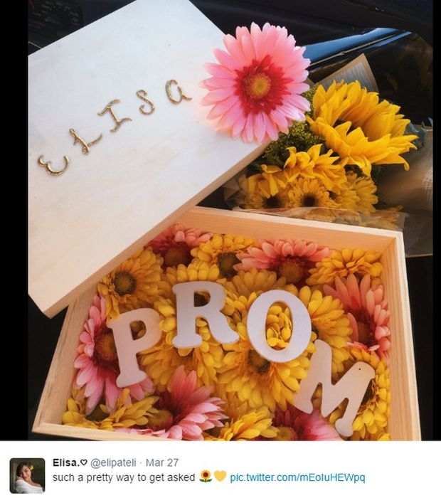 Extraordinary And Impressive Prom Proposals (15 pics)