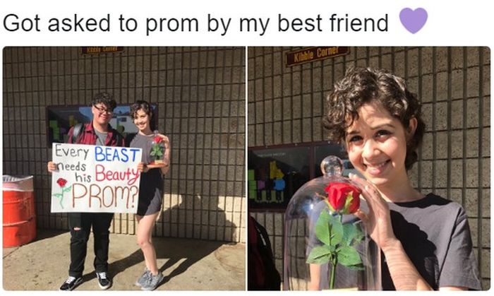 Extraordinary And Impressive Prom Proposals (15 pics)