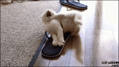 Acid Gifdump, May 01, 2017 (25 gifs)
