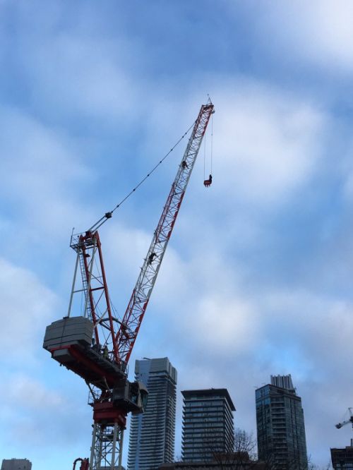 Woman Rescued From Crane On Wellesley Street (6 pics + video)