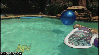 Acid Gifdump, May 03, 2017 (25 gifs)