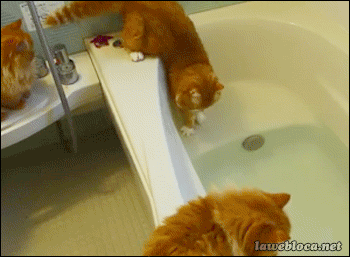 Acid Gifdump, May 03, 2017 (25 gifs)