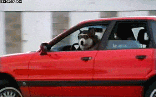 Acid Gifdump, May 03, 2017 (25 gifs)