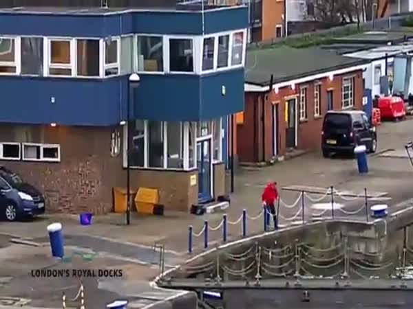 Cat Rescue In London