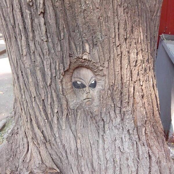 Acid Picdump (93 pics)