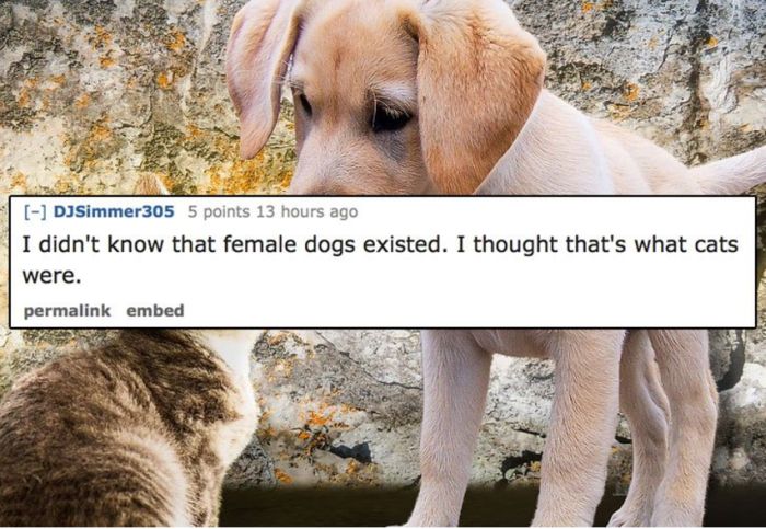 People Share The Dumbest Thing They Believed When They Were Kids (13 pics)