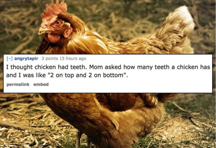 People Share The Dumbest Thing They Believed When They Were Kids (13 pics)