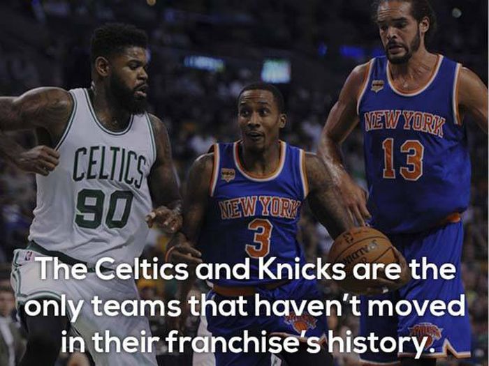 A Basket Of Facts About The NBA (10 pics)