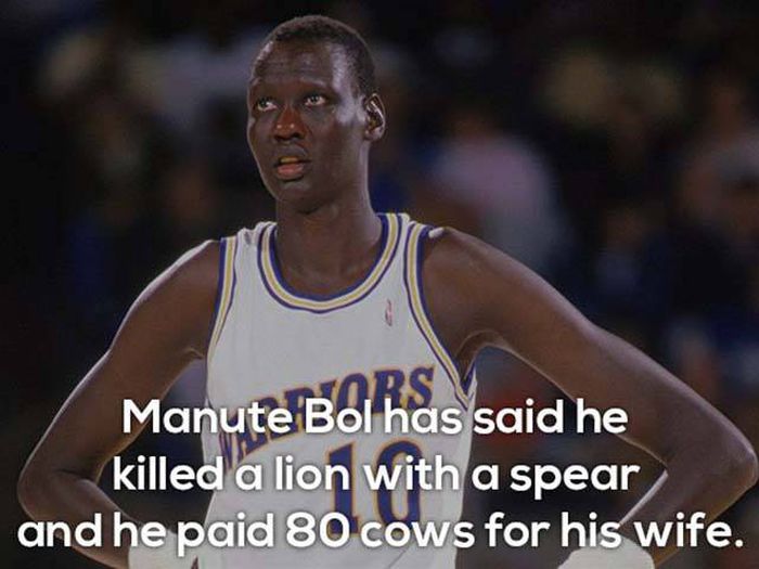 A Basket Of Facts About The NBA (10 pics)