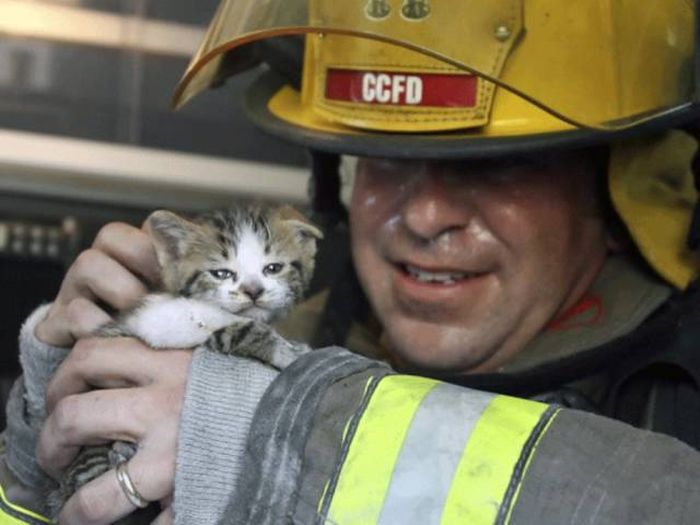 Firefighters Know That Every Life Matters (47 pics)