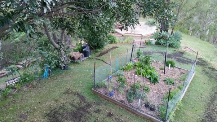 Man Gets A Surprise While Reaching For A Branch In His Garden (3 pics)