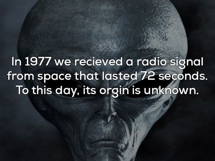 Creepy Facts That Will Send Chills Down Your Spine (17 pics)