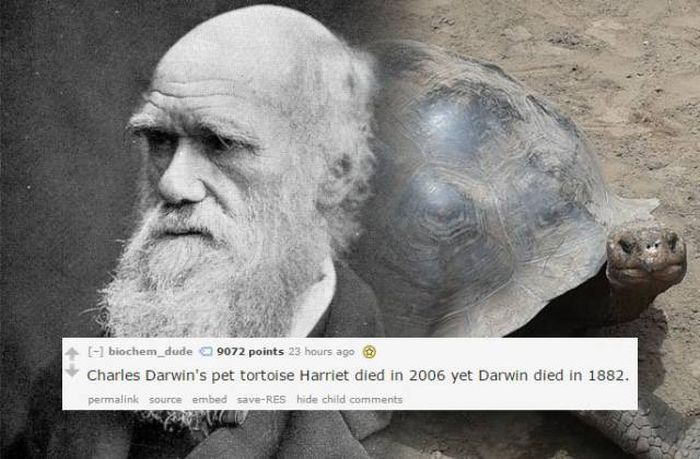 Historical Facts That Are Really Hard To Wrap Your Head Around (22 pics)