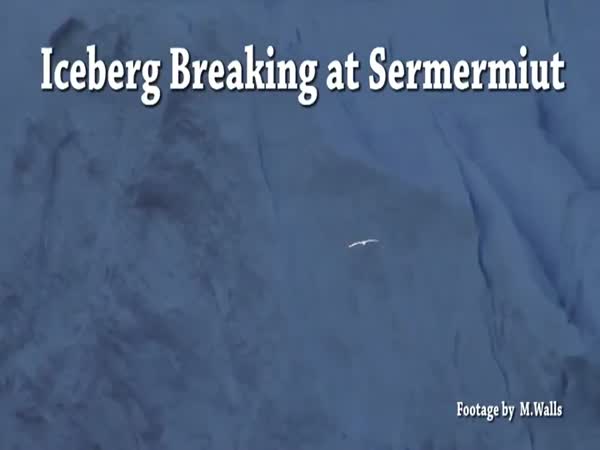 Massive Icebergs Break Apart In Front Of Spectators