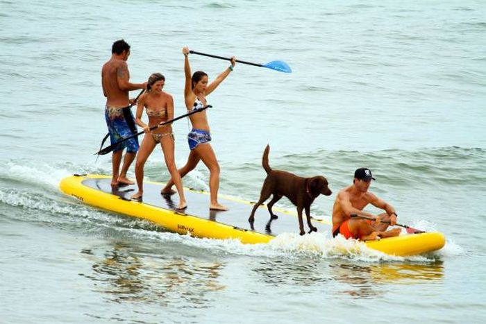 If You Try Not To Want These Awesome Things You Will Fail (51 pics)