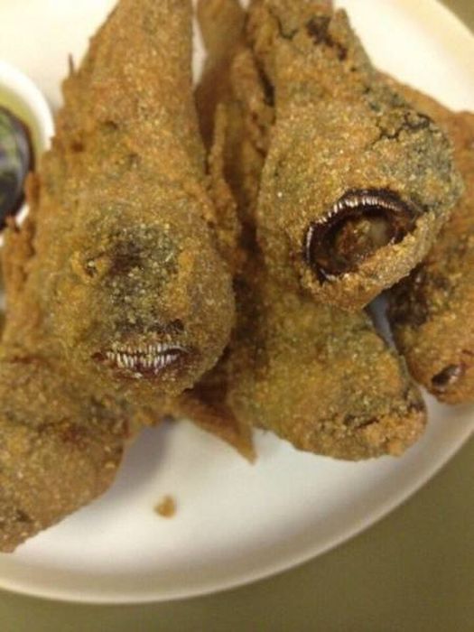 There's So Much Nope In Here It's Painful (35 pics)