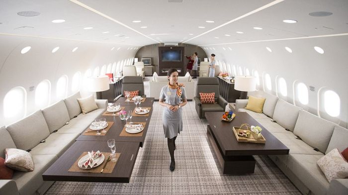 This Private Jet Is Basically A Flying Penthouse (11 pics)