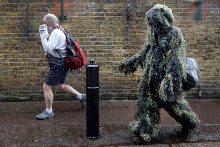 Acid Picdump (113 pics)
