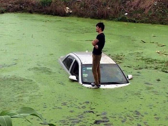 Acid Picdump (113 pics)
