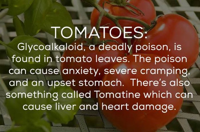 Be Careful Because There's A Bunch Of Ways Your Food Can Kill You (16 pics)