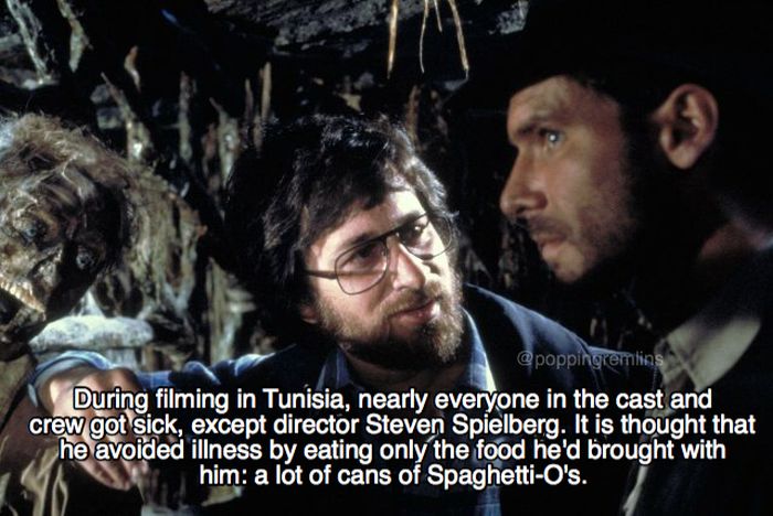 Exciting Facts About Raiders Of The Lost Ark (22 pics)