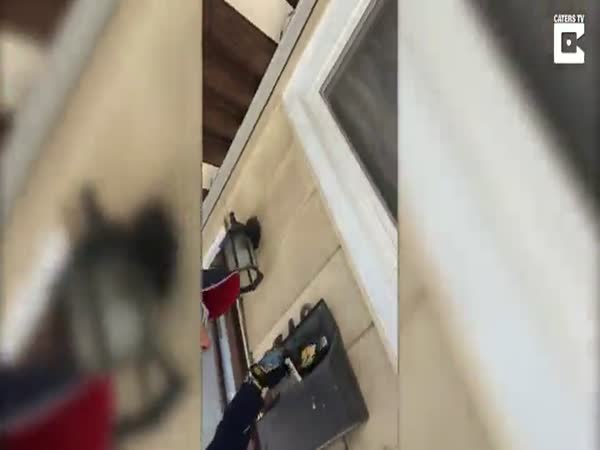 Ferocious Cat Protects Its Home From The Evil Postwoman