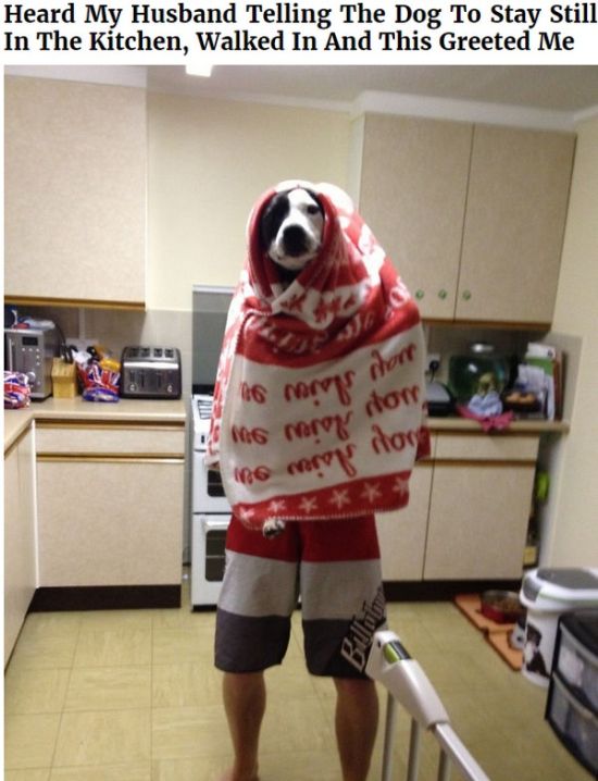 Times Significant Others Got Caught Being Weird (20 pics)