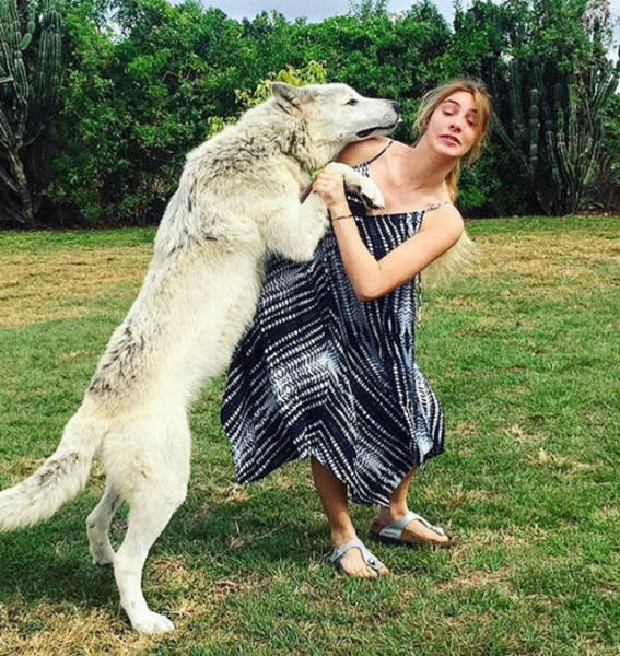 Bad Things Never Seem To Stop Happening To Some People (43 pics)