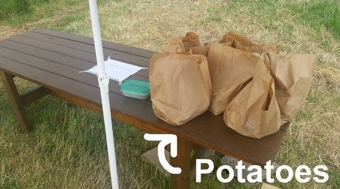 Norway Has A Self Service Potato Farm (4 pics)