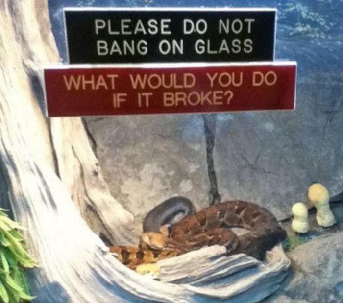 Sometimes Zoo Signs Are Even More Interesting Than The Animals (27 pics)