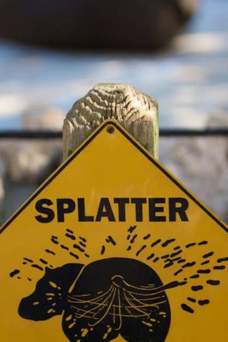 Sometimes Zoo Signs Are Even More Interesting Than The Animals (27 pics)