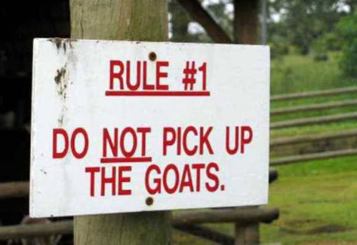 Sometimes Zoo Signs Are Even More Interesting Than The Animals (27 pics)