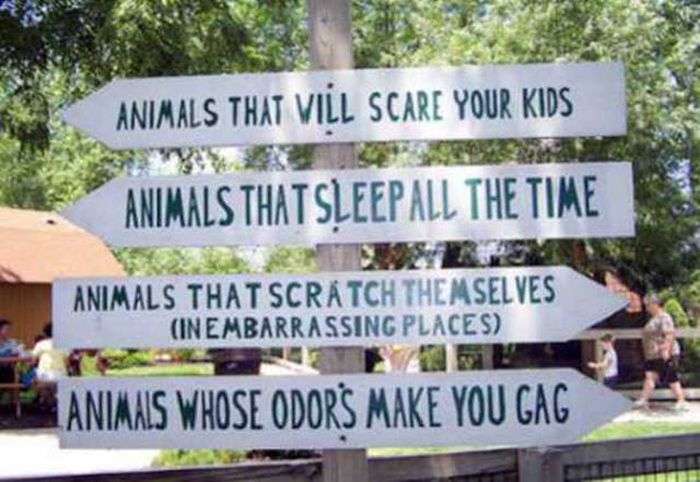 Sometimes Zoo Signs Are Even More Interesting Than The Animals (27 pics)