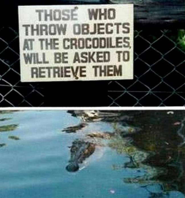 Sometimes Zoo Signs Are Even More Interesting Than The Animals (27 pics)