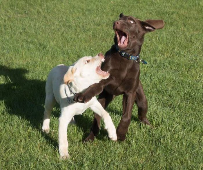 Acid Picdump (96 pics)