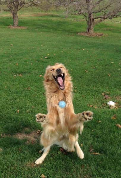 Acid Picdump (96 pics)
