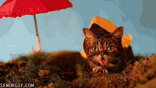 Acid Gifdump, May 11, 2017 (25 gifs)