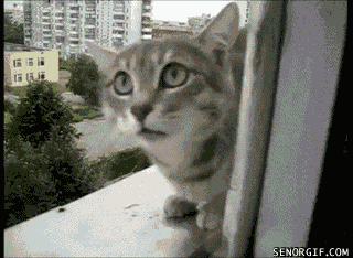 Acid Gifdump, May 11, 2017 (25 gifs)