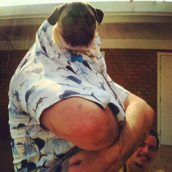 Men Are Always Up For Fun And Weird Stuff (47 pics)