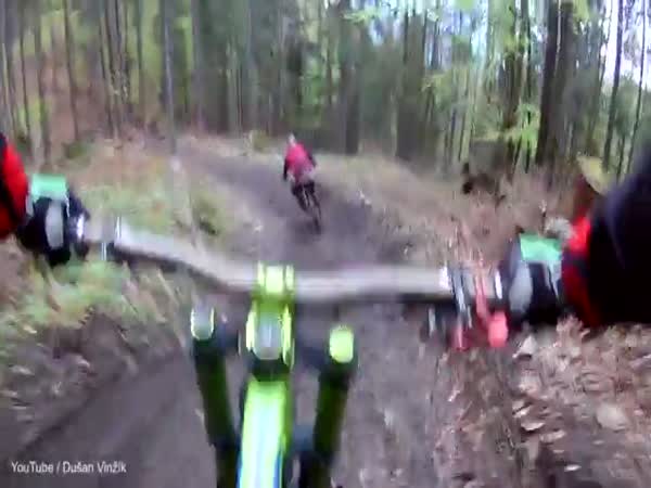 A Mountain Biker Is Chased By A Bear In Slovakia