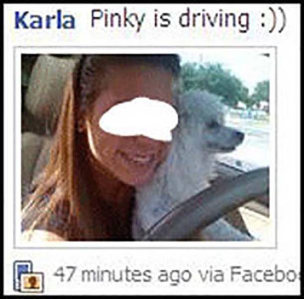 Dumb People Who Admitted Their Crimes Via Facebook (25 pics)